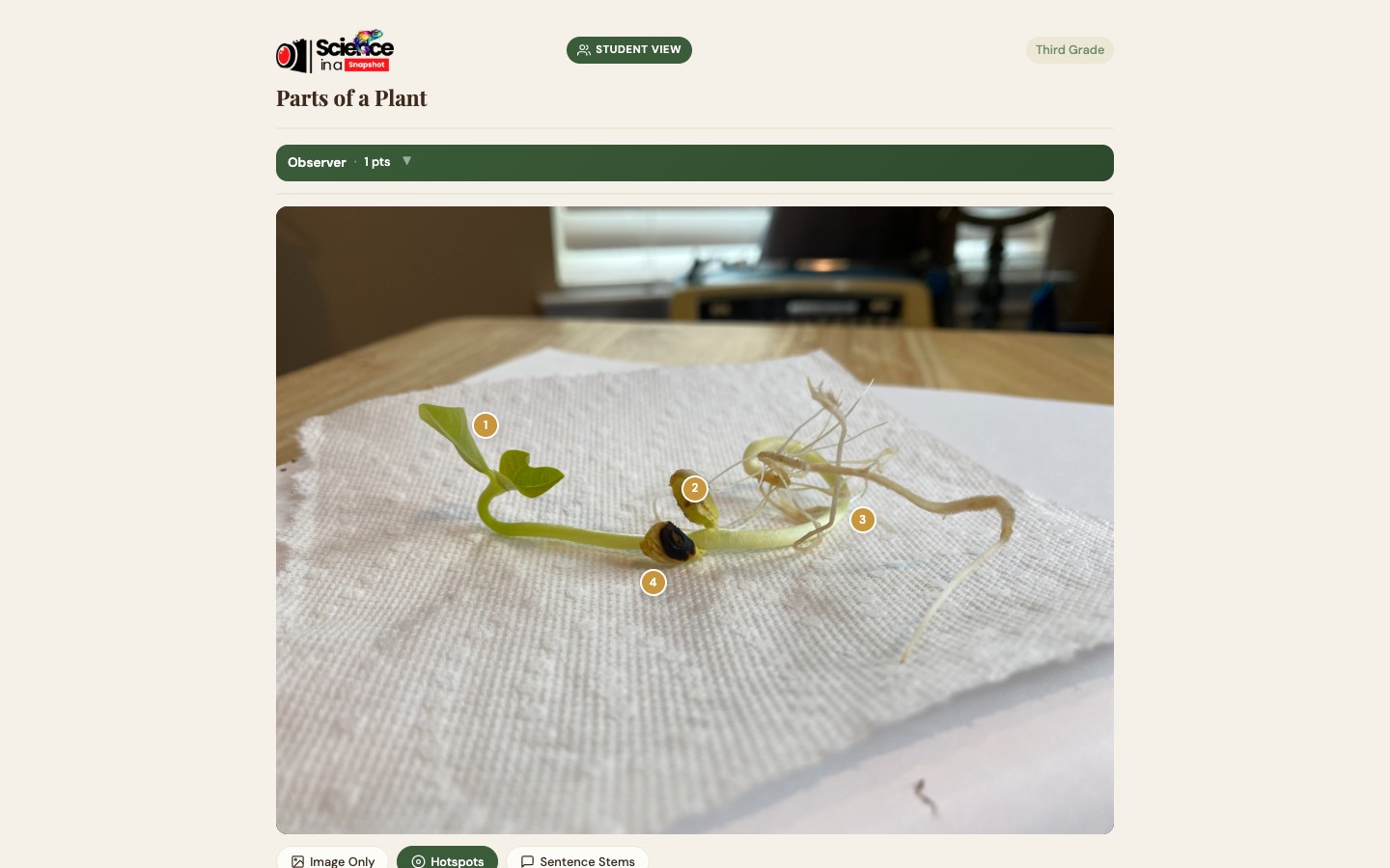 Student View page showing Parts of a Plant photograph with four numbered hotspot dots overlaid on the image